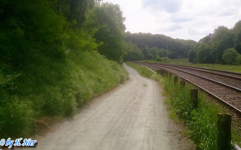 Ixodes ricinus -  2. Fund (Fundortfoto)