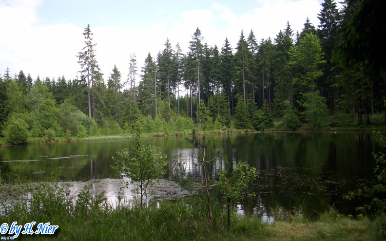 <a href='picture.php?/927/category/428'>Anas platyrhynchos - 14. Fund (Fundortfoto)</a> Anas platyrhynchos - 14. Fund (Fundortfoto)