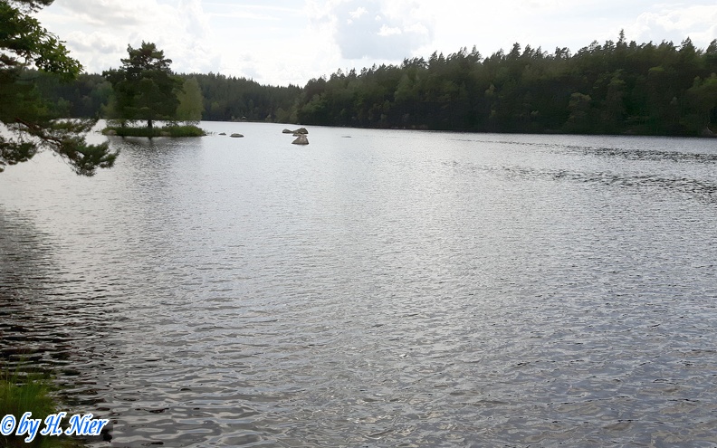 <a href='picture.php?/560/category/282'>Larus canus - 2. Fund (Fundortfoto)</a> Larus canus - 2. Fund (Fundortfoto)