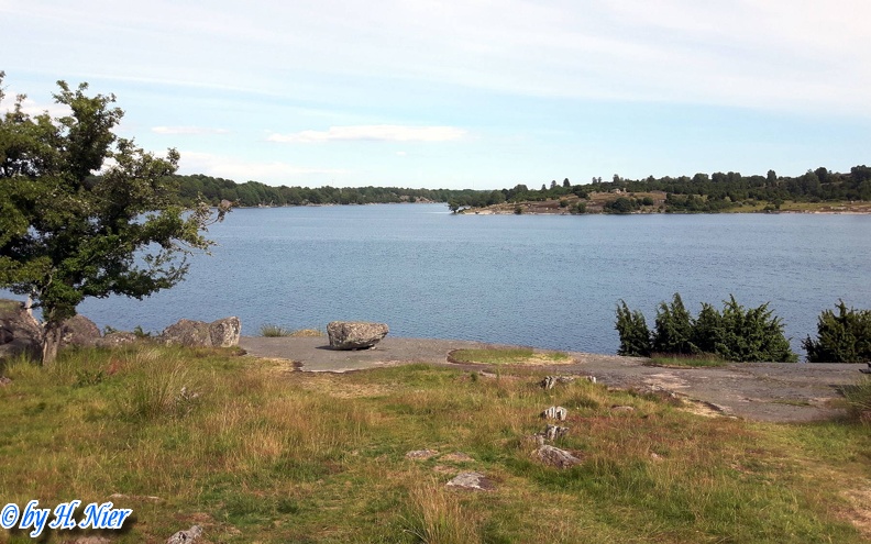 <a href='picture.php?/8977/category/4157'>Sterna hirundo - 3. Fund (Fundortfoto)</a> Sterna hirundo - 3. Fund (Fundortfoto)