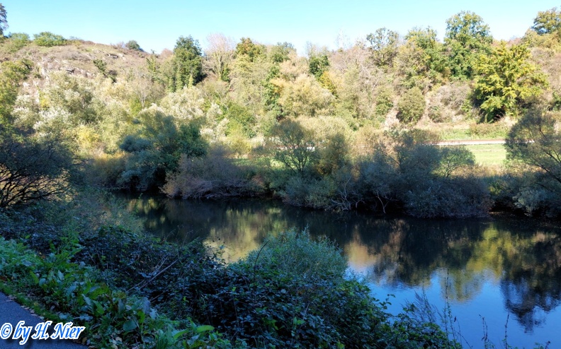 Alcedo atthis -  7. Fund (Fundortfoto)