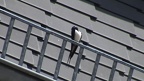 Hirundo rustica -  5. Fund