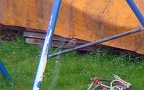 Phoenicurus ochruros -  2. Fund (Weibchen)