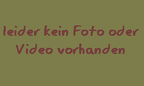 Sylvia atricapilla -  1. Fund (Männchen)