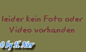 <a href='picture.php?/3928/category/1358'>Dendrocopos major - 1. Fund (Weibchen)</a> Dendrocopos major - 1. Fund (Weibchen)