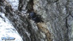 Familie Lucanidae (Latreille, 1804)