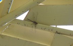 Familie Aeshnidae (Rambur, 1842)
