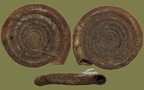 Stamm Mollusca (Cuvier, 1797)
